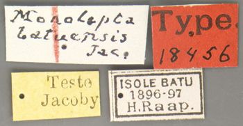 Media type: image; Entomology 18456   Aspect: labels